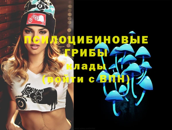 PSILOCYBIN Нефтегорск