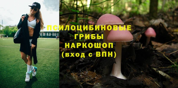 прущая мука Новозыбков