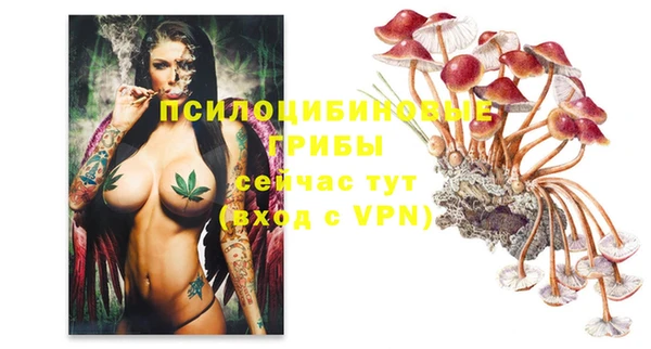 PSILOCYBIN Нефтегорск