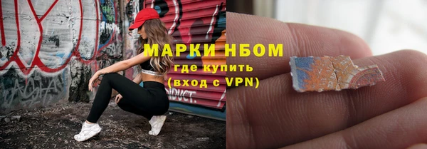 apvp Болотное