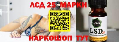 сатива Аргун