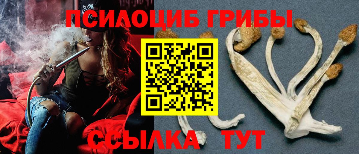 Галлюциногенные грибы ЛСД Семилуки