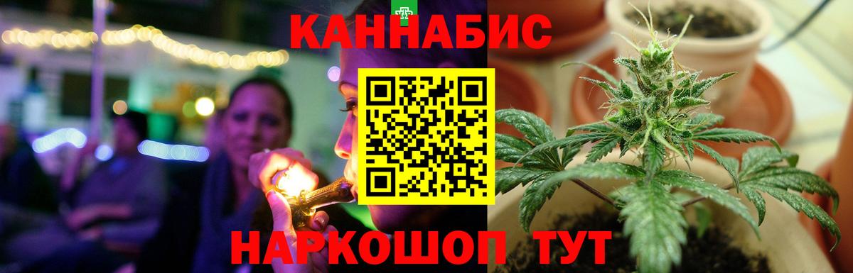 Шишки марихуана план Семилуки